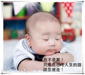 1982114 471361319656045 761339515 n