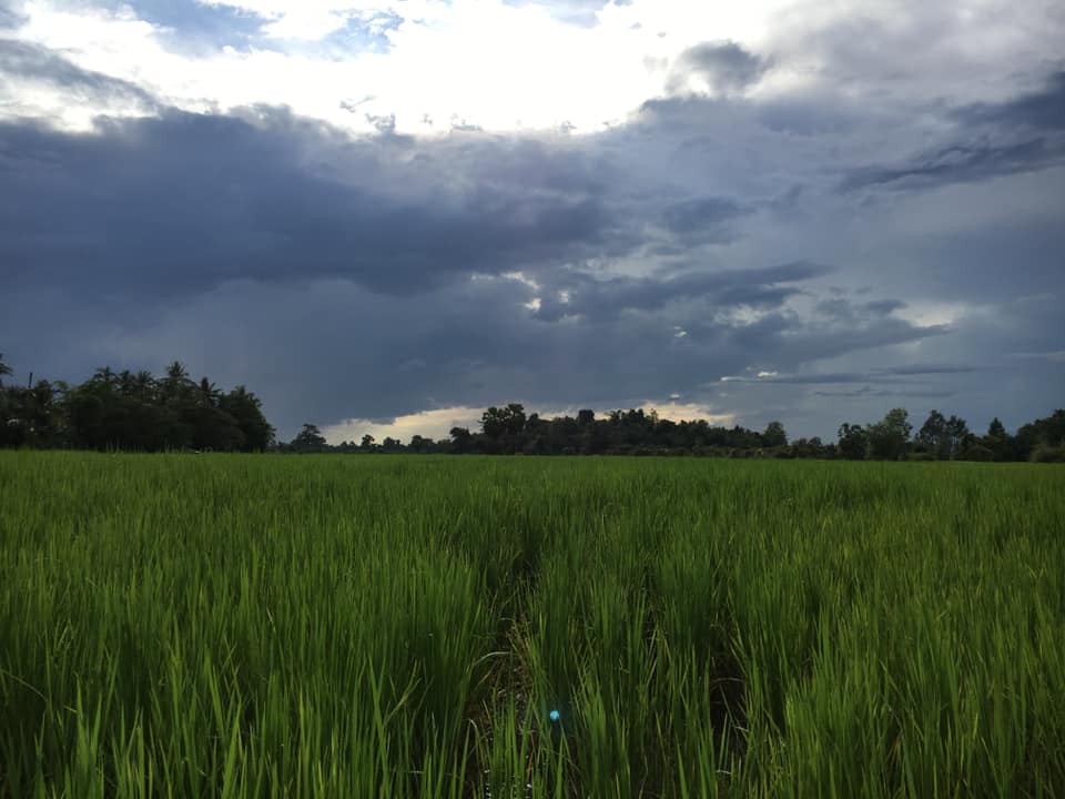 205372749 3836683569790453 946633249227905078 n